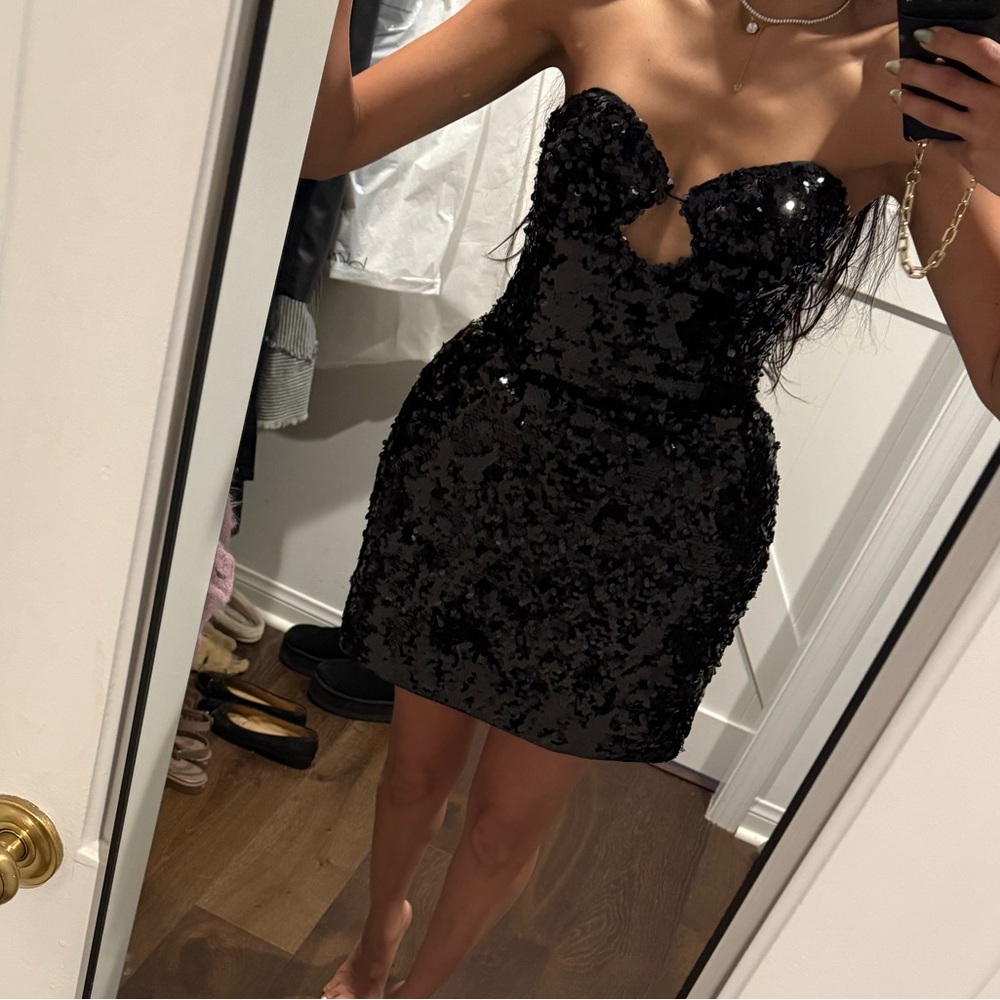 Sold Out Magda Butrym x H&M Sequin Dress